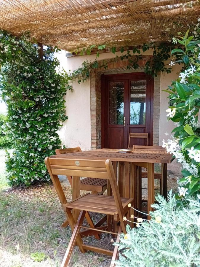 Borgo De' Muracci Ribolla Eksteriør billede