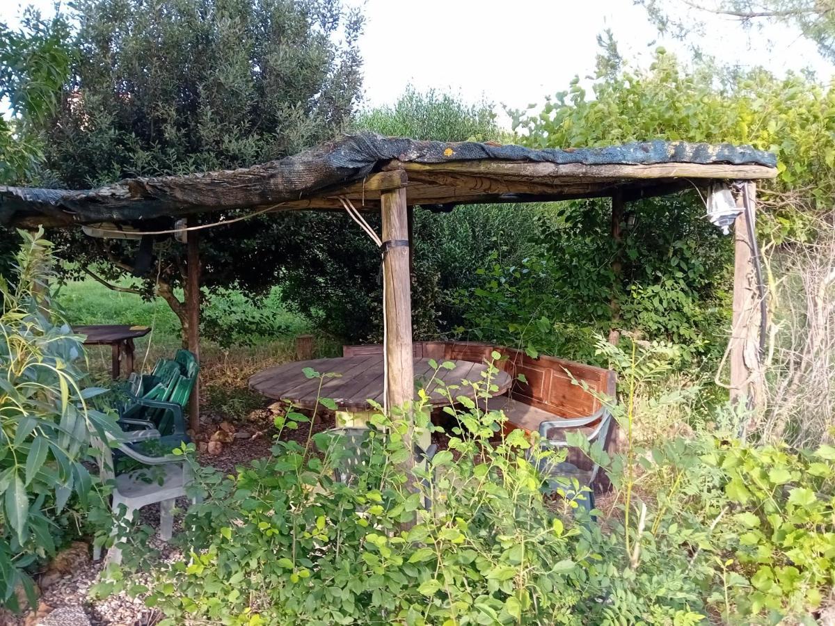 Borgo De' Muracci Ribolla Eksteriør billede