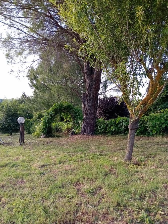 Borgo De' Muracci Ribolla Eksteriør billede