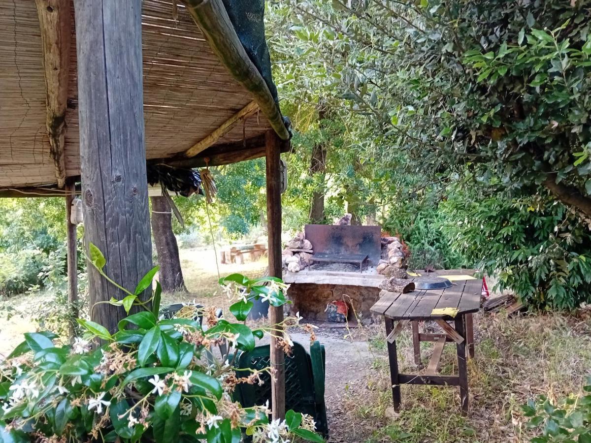 Borgo De' Muracci Ribolla Eksteriør billede