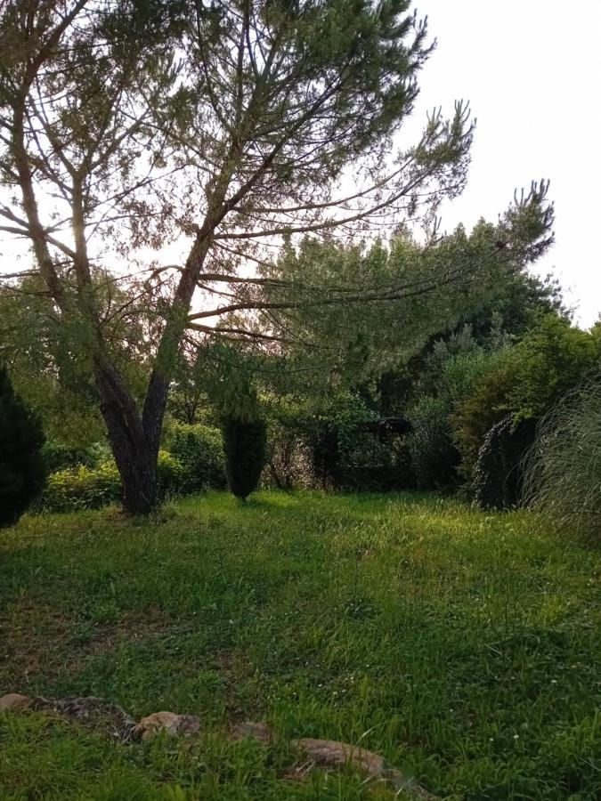 Borgo De' Muracci Ribolla Eksteriør billede