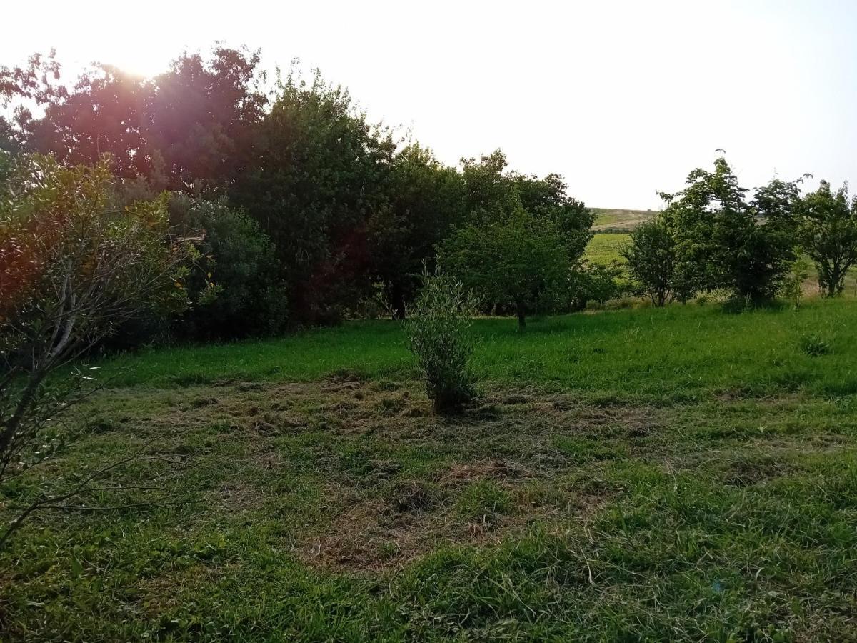 Borgo De' Muracci Ribolla Eksteriør billede